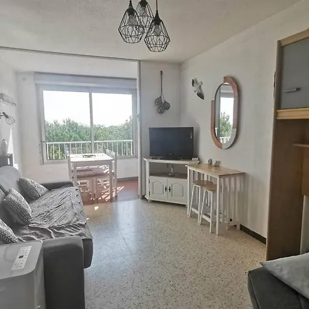 Climatise Au Cap D'agde - 4 Pers. - Fr-1-880-20 阿格德