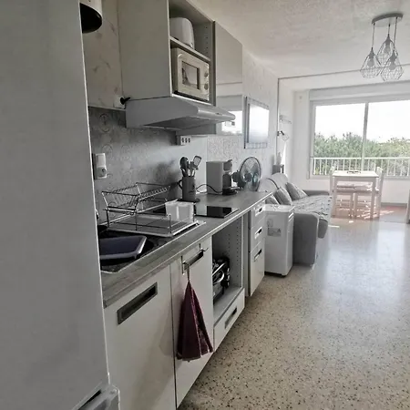 Climatise Au Cap D'agde - 4 Pers. - Fr-1-880-20 阿格德